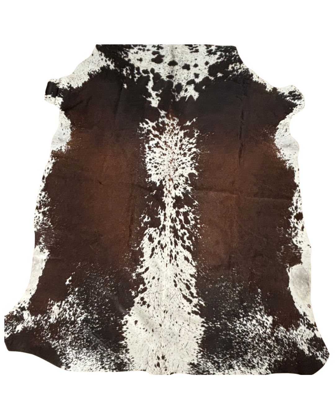 Nguni no.5493- AA Superior Grade