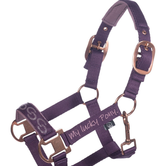 Head Collar and Lead- Alva