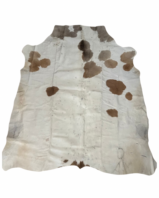 Nguni no.4336- B Grade