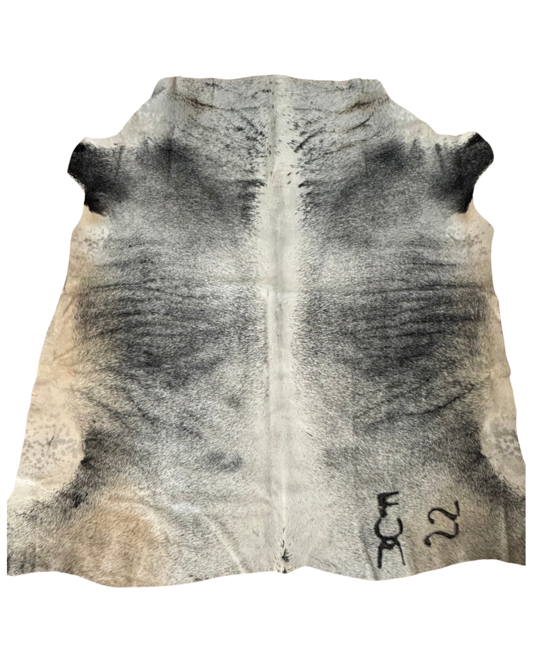 Nguni no.3057- AA Grade