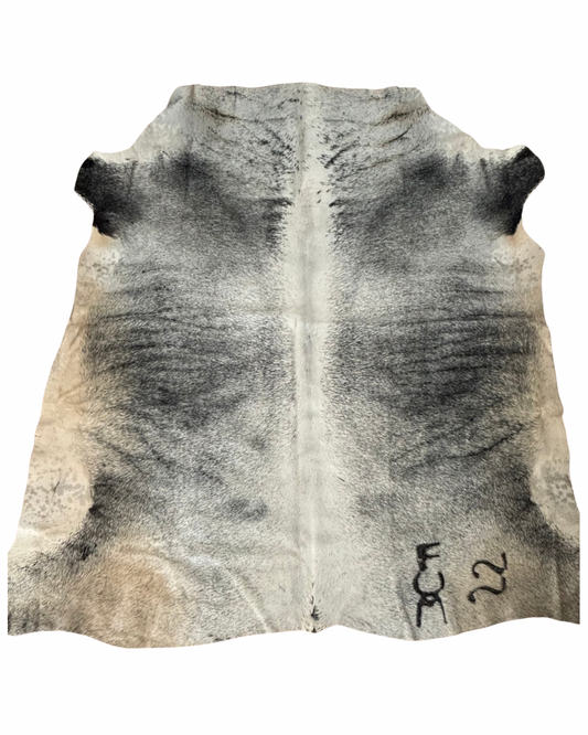 Nguni no.3057- AA Grade