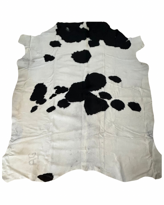 Nguni no.4196- B Grade