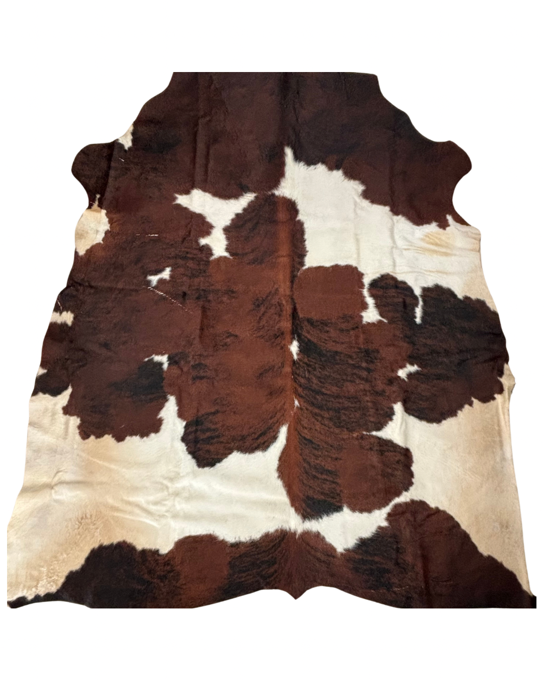 Nguni no.4542- A Superior Grade