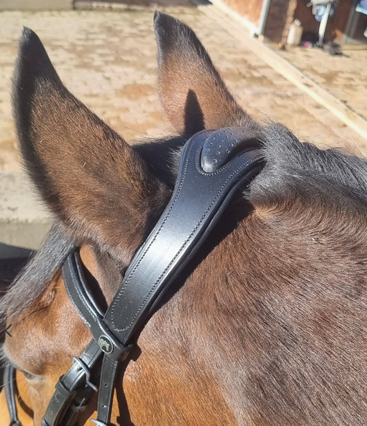 Anatomic Leather Bridle