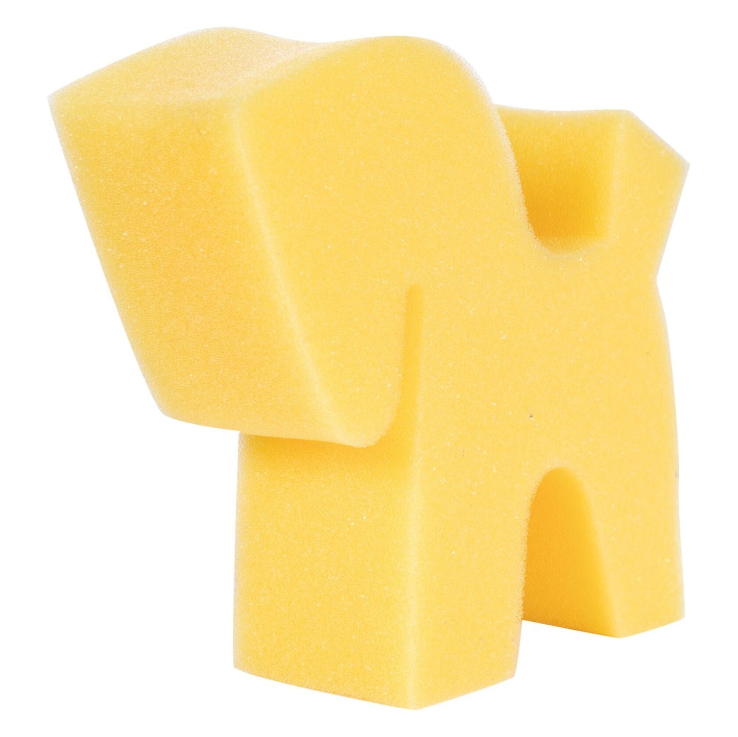 Grooming Sponge Horse