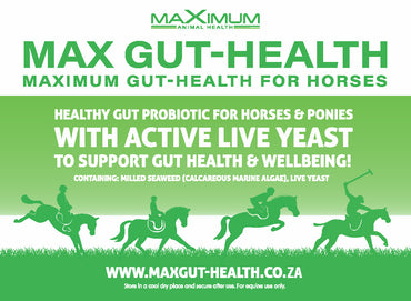 Max Gut-Health