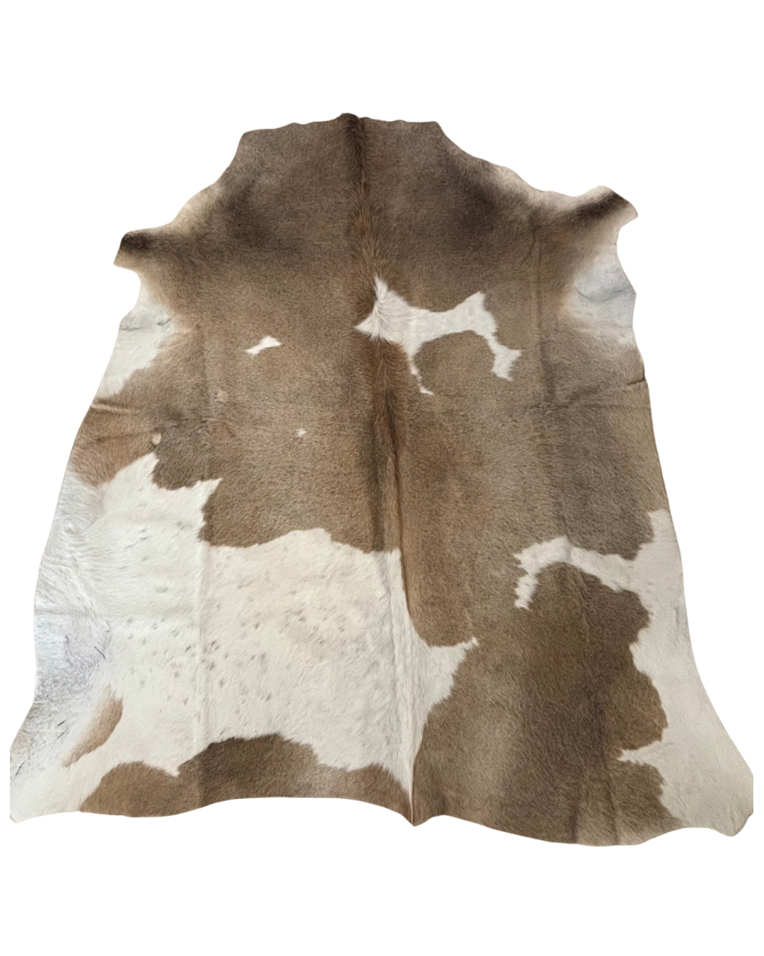 Nguni no.4280- B Grade