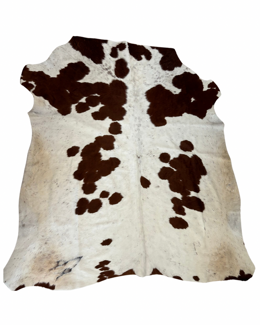 Nguni no.2974- AA Grade