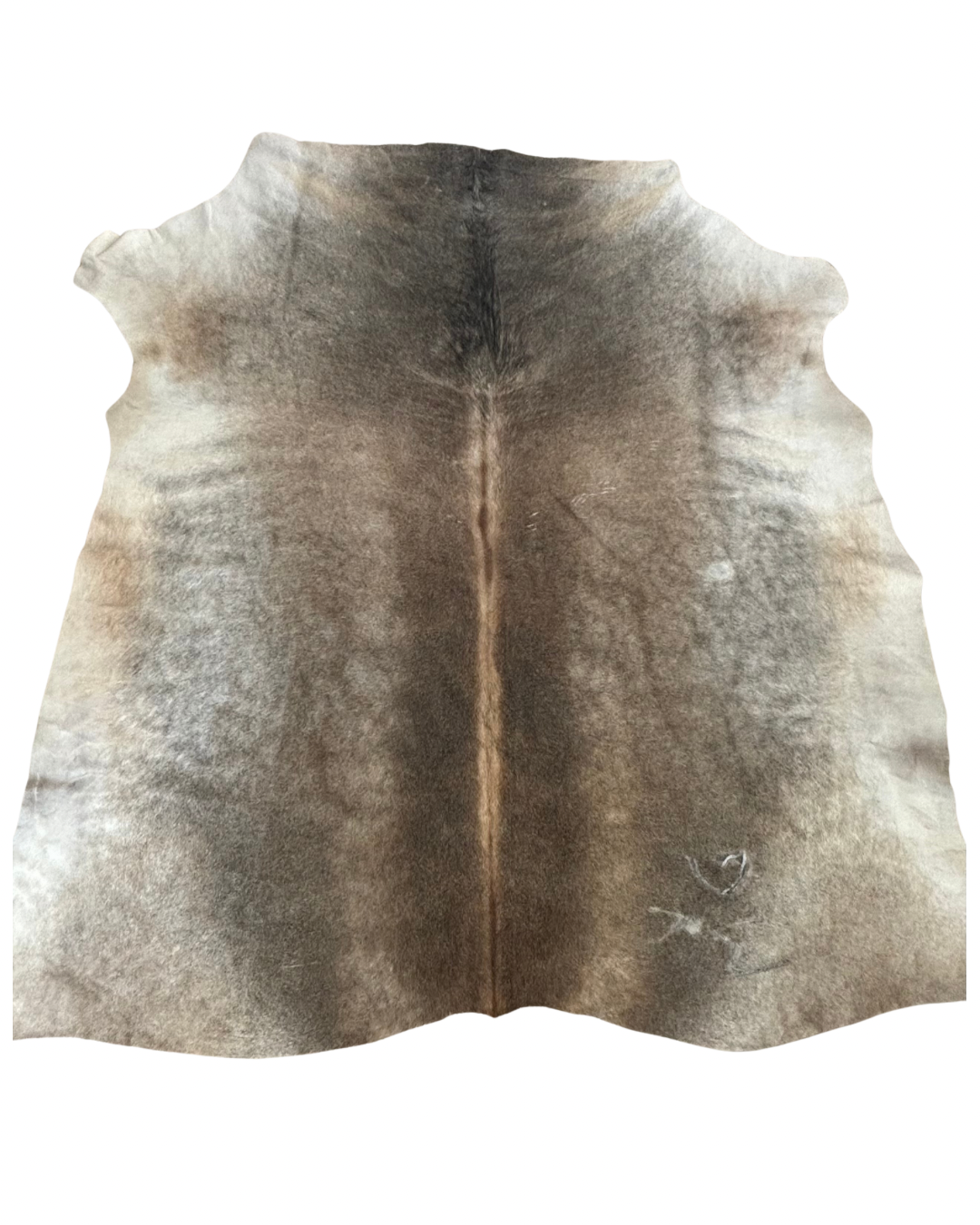 Nguni no.1554- A Grade