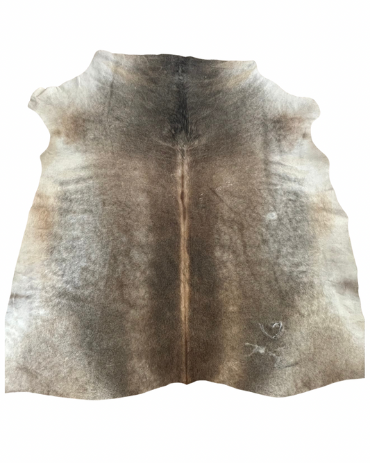 Nguni no.1554- A Grade