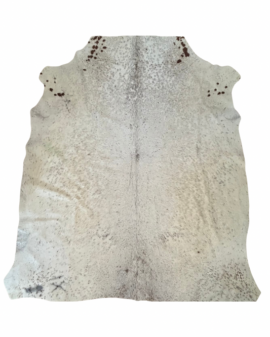 Nguni no.0955- B Grade