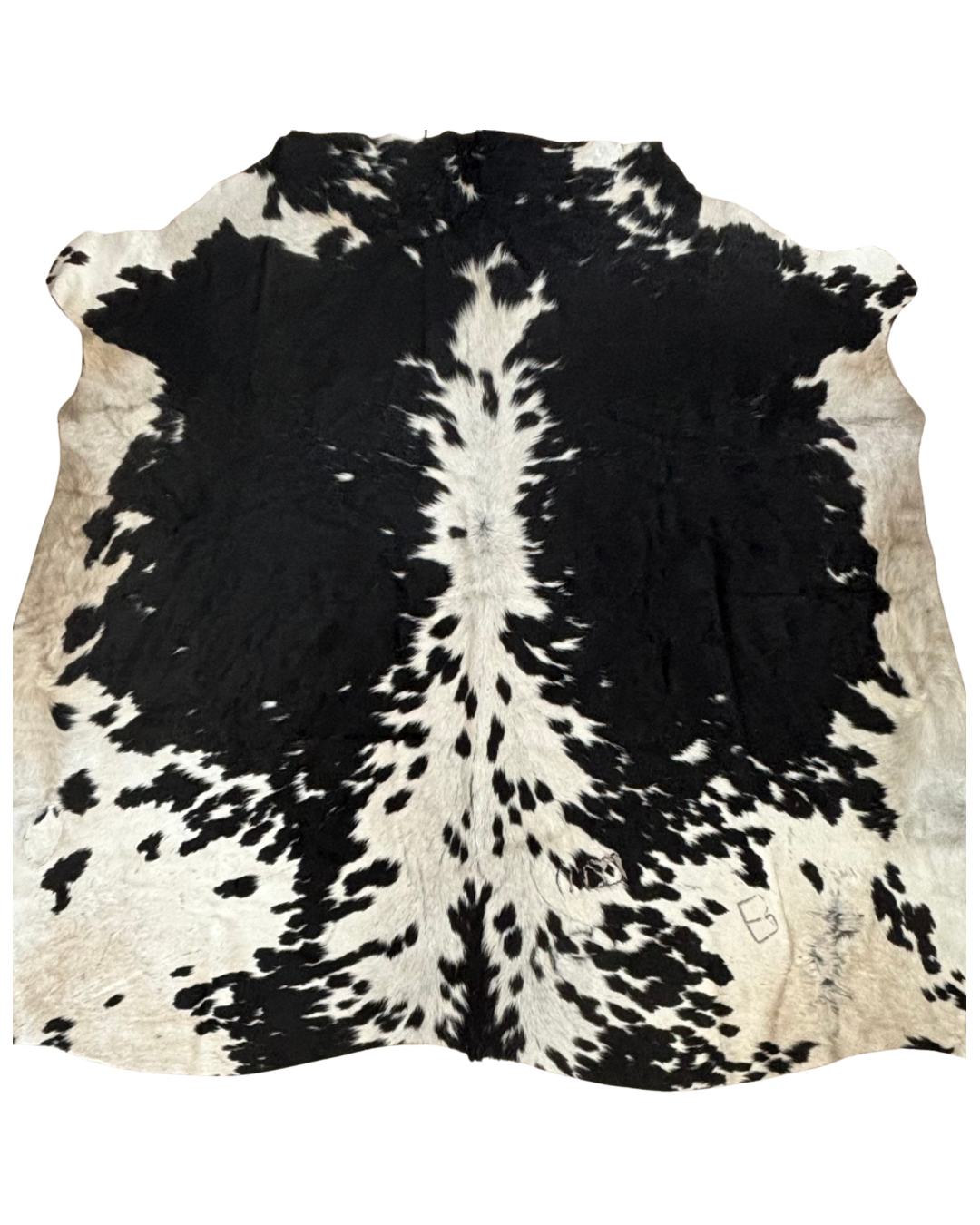 Nguni no.5344- B Superior Grade