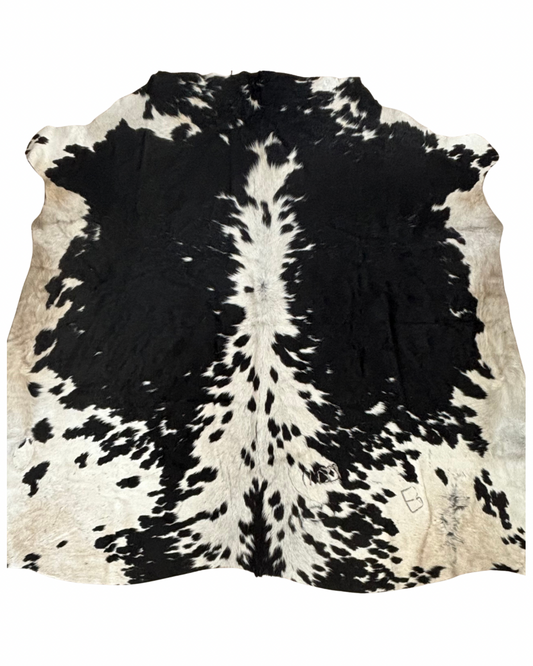 Nguni no.5344- B Superior Grade