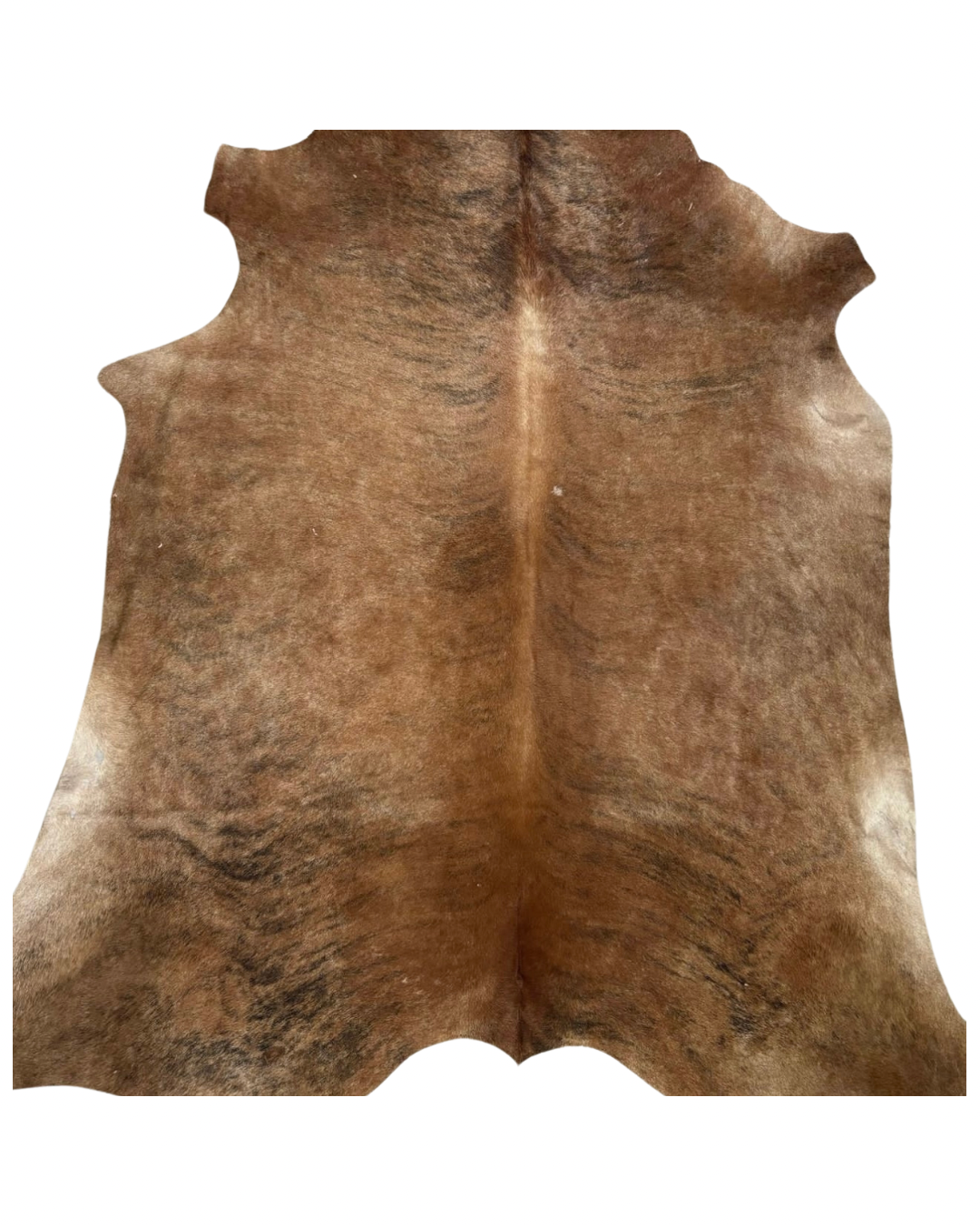 Nguni no.1021- AA Grade