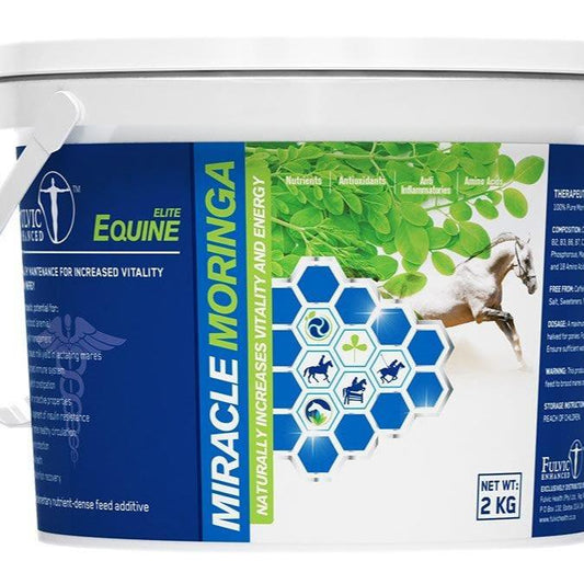 Miracle Maringa Equine