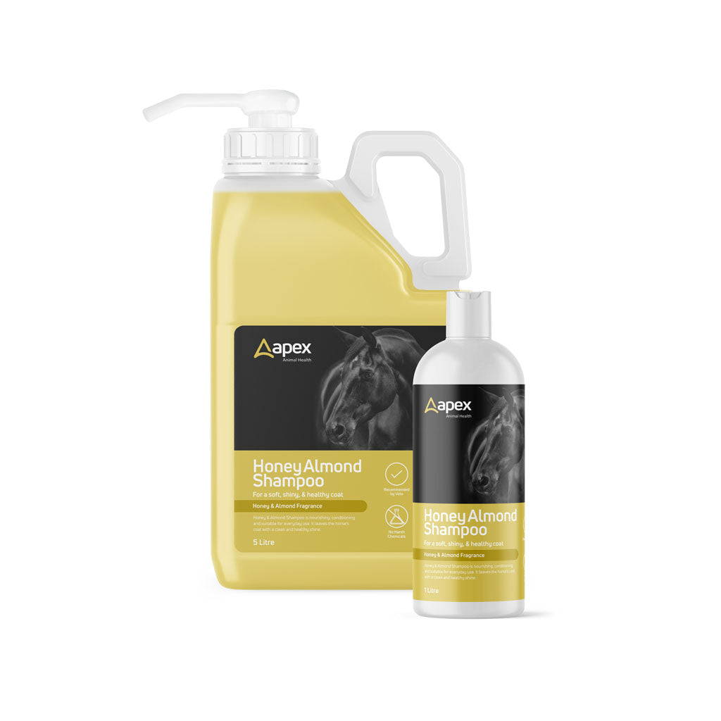 Apex Honey & Almond Shampoo