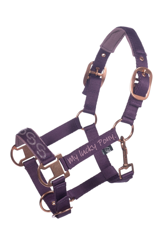 Head Collar and Lead- Alva