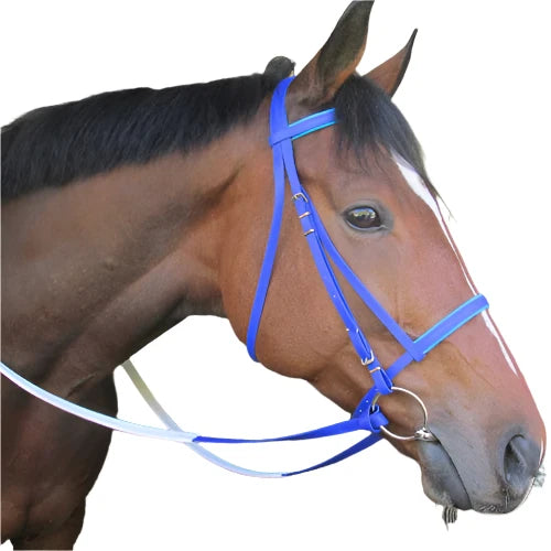 Bridle- Biothane Racing