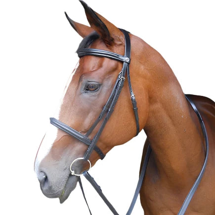 Caveson Bridle- Raised and Padded