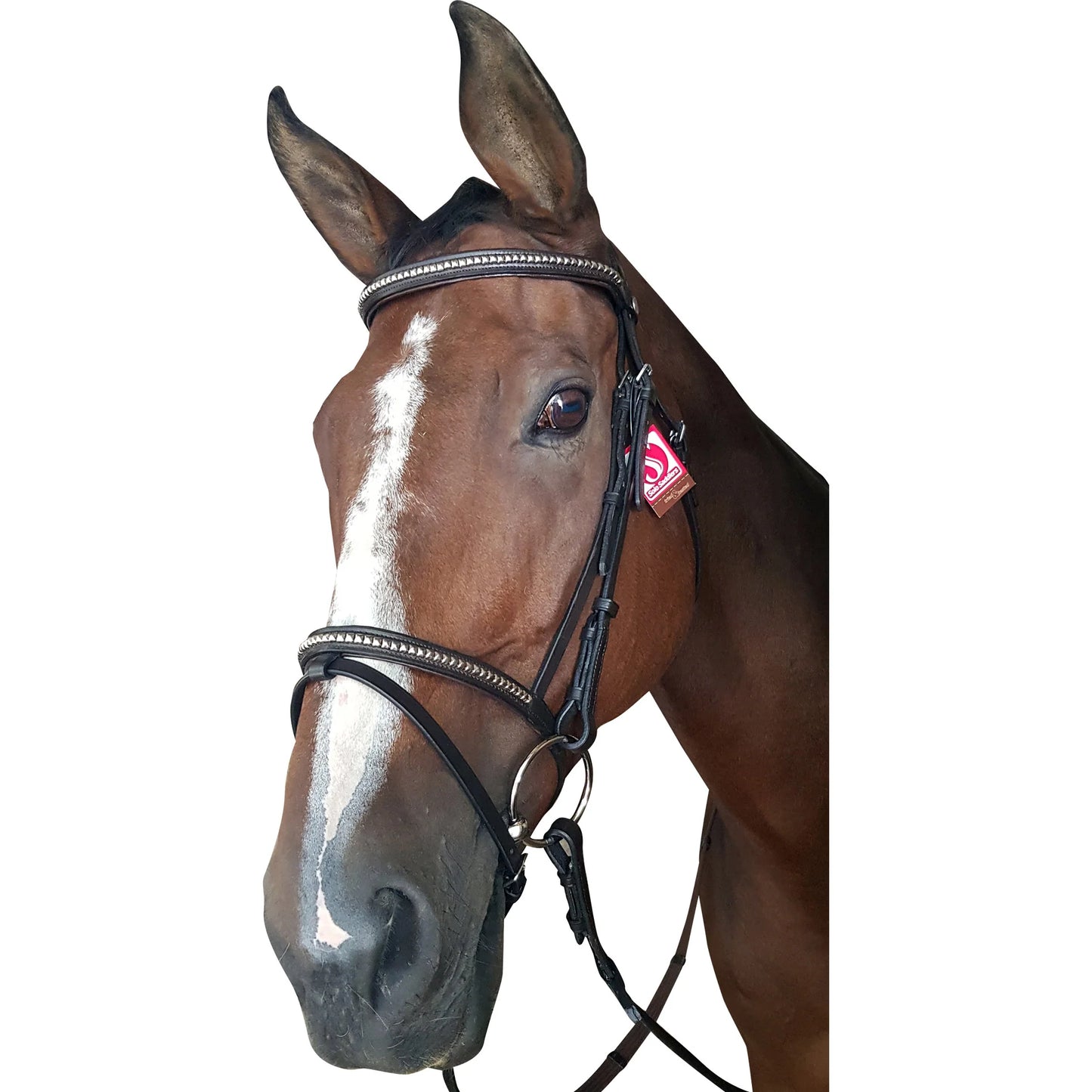 Bridle- Clincher