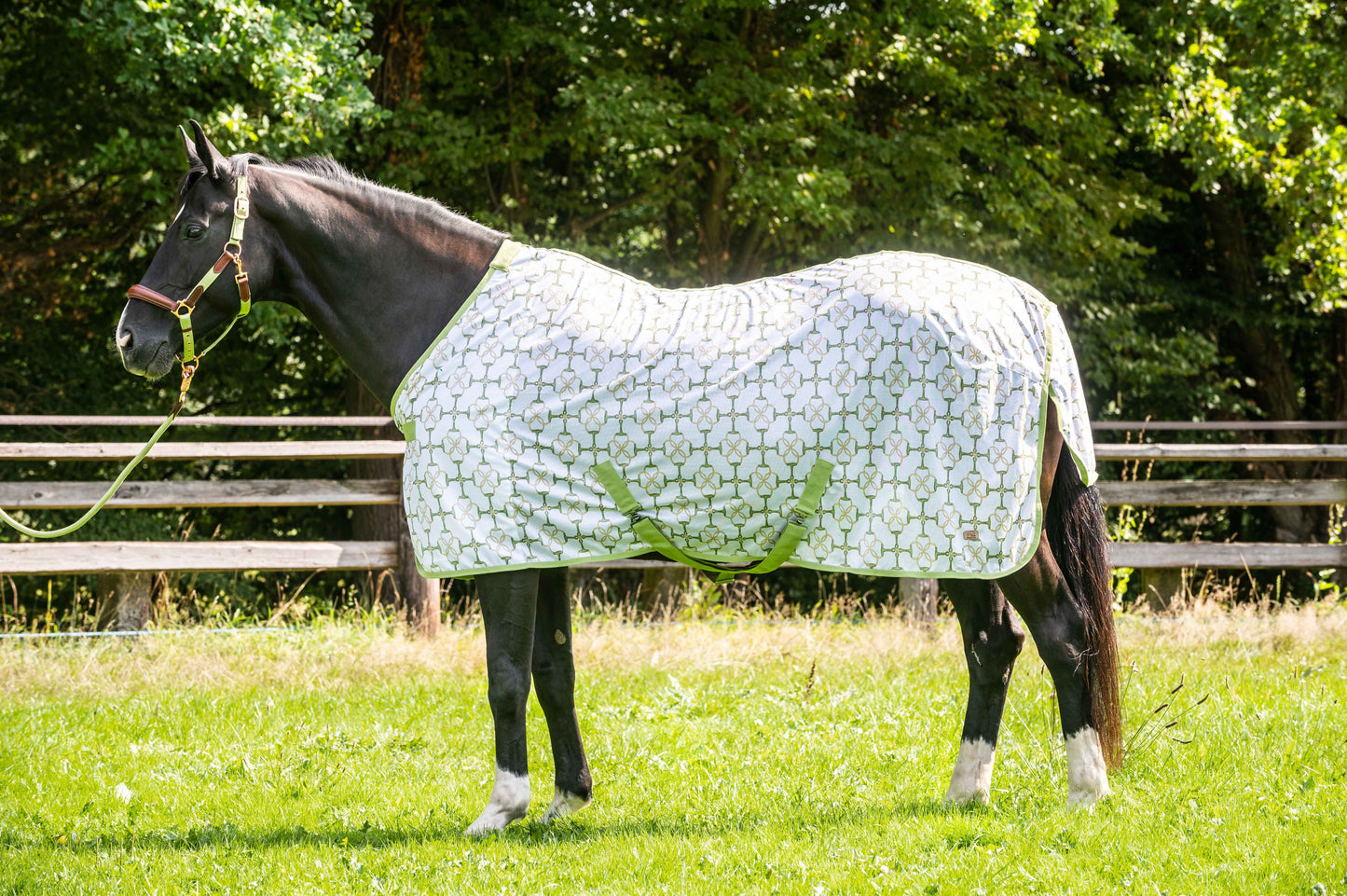 Fly Rug- Edinburgh