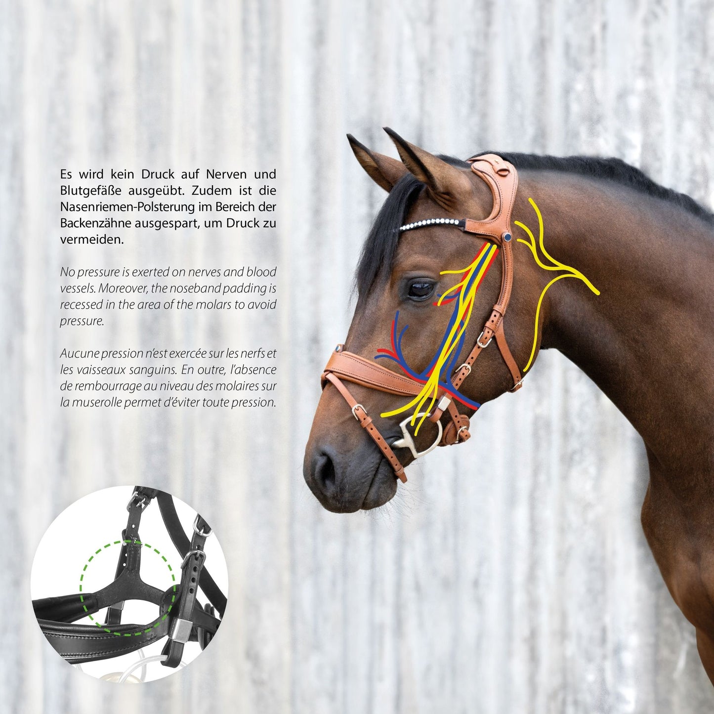 Stubben Freedom II Bridle- Magic Tack Slide and Lock