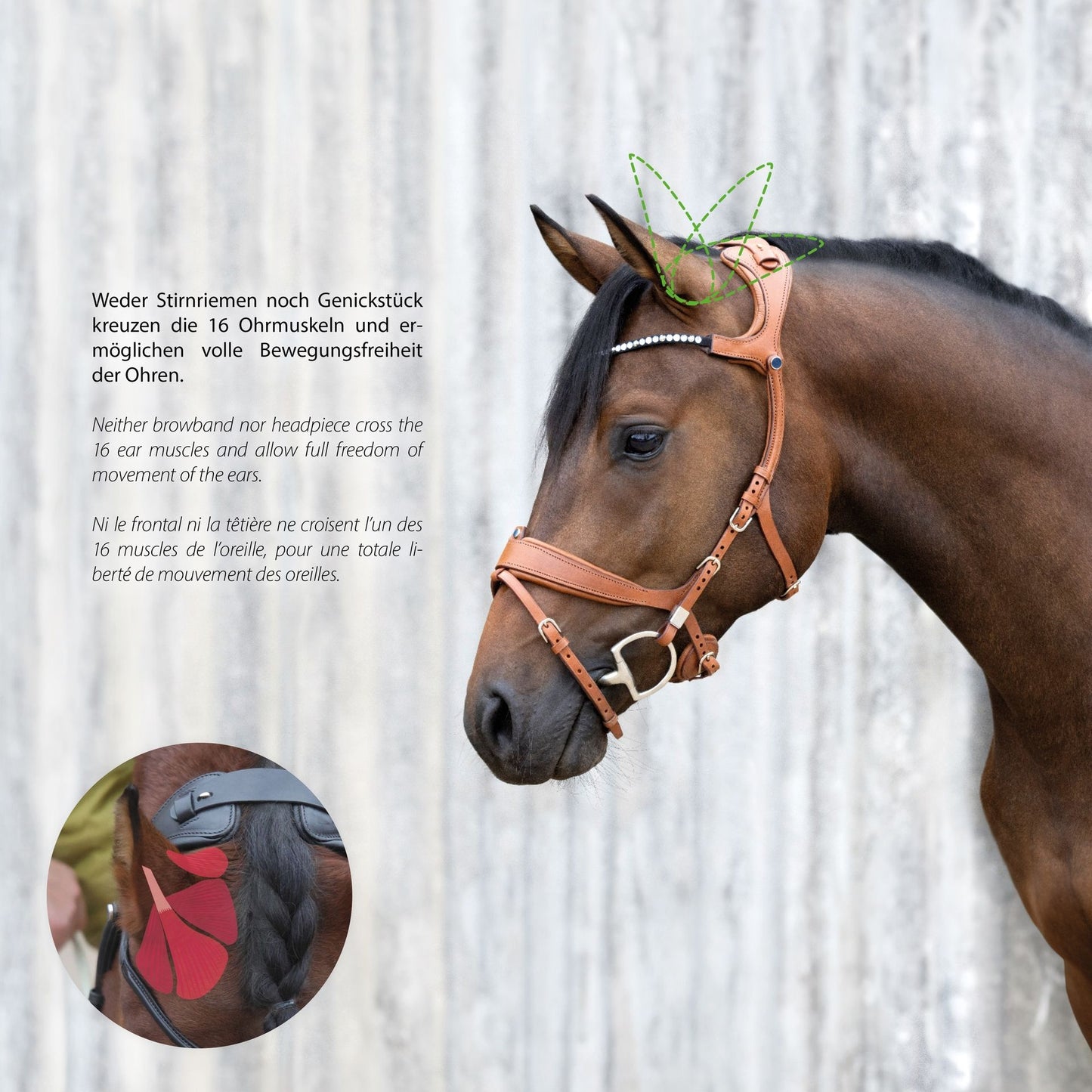 Stubben Freedom II Bridle- Slide And Lock