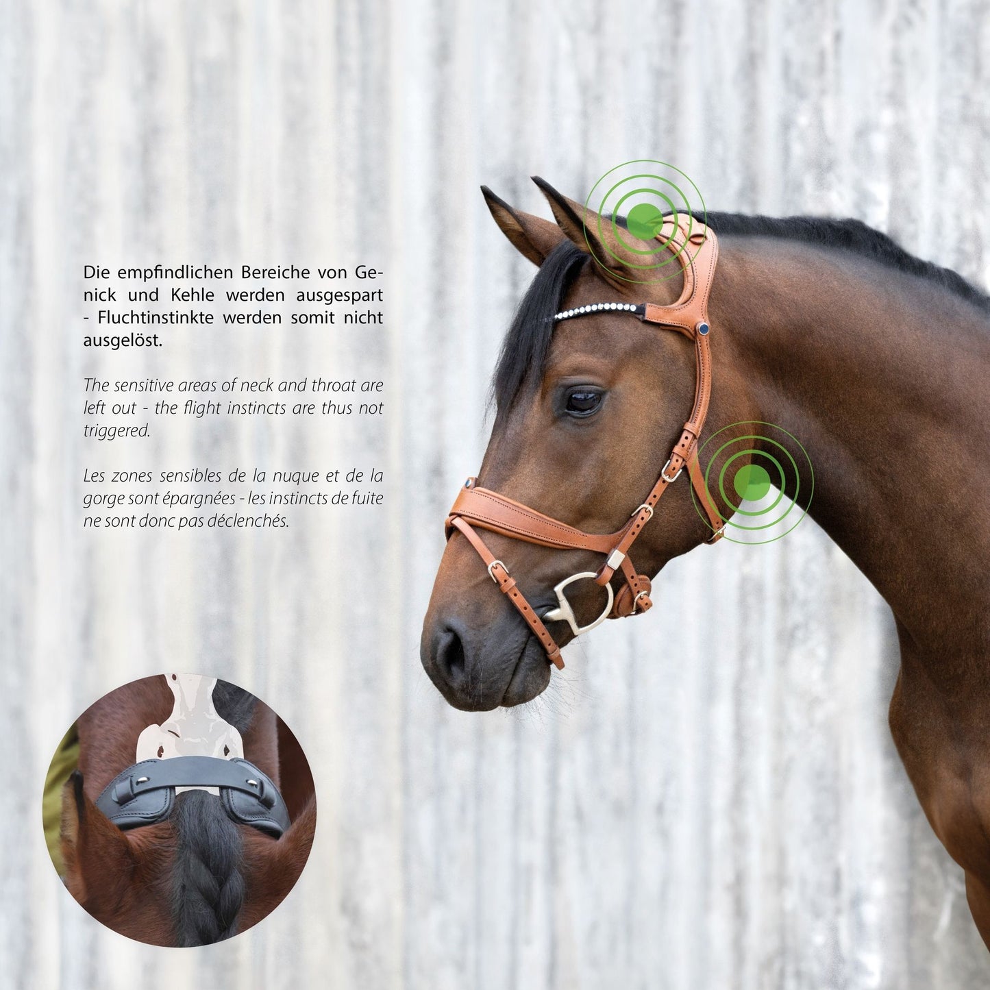 Stubben Freedom II Bridle- Slide And Lock