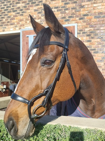 Anatomic Leather Bridle