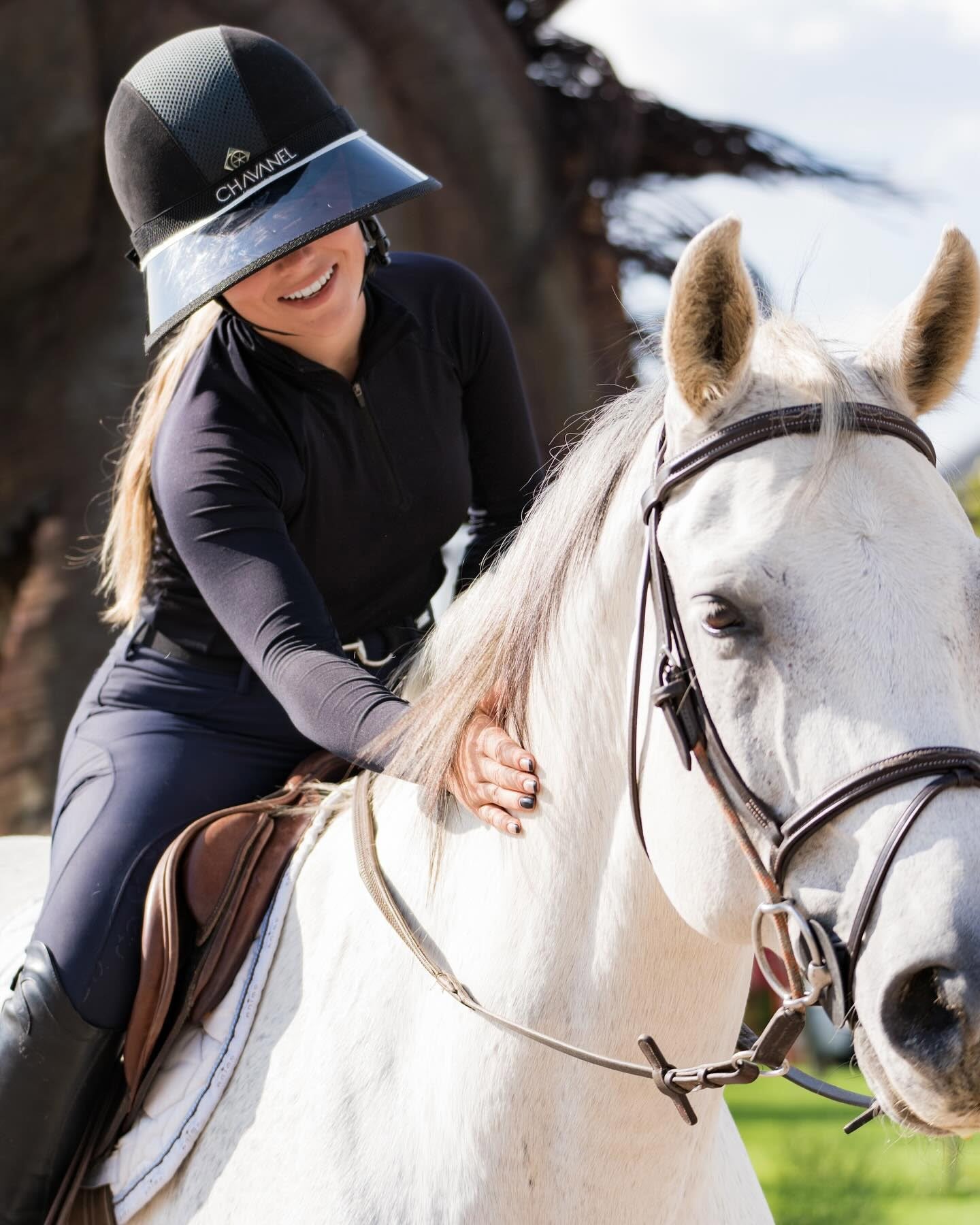 Equestrian Visor