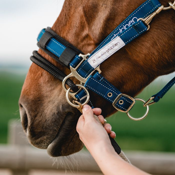 Stubben LK Controller for Stable Halter