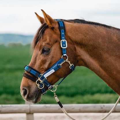 Stubben LK Controller for Stable Halter