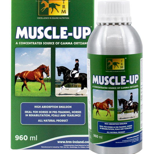 Trm Muscle-Up