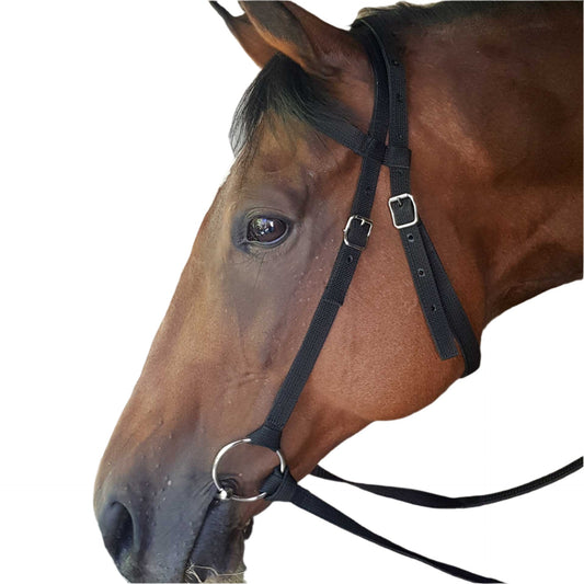 Bridle- Nylon Work