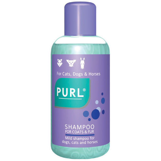 Purl Shampoo