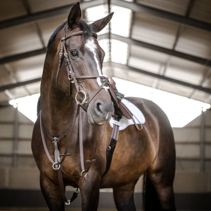 Stubben Running Martingale