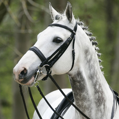 Stubben Leitrim Double Bridle~Special Dressage Noseband French